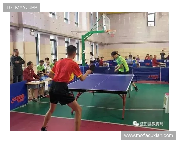 黄芳独家分享乒乓球技巧与心得体会助你提升球技的秘诀与经验